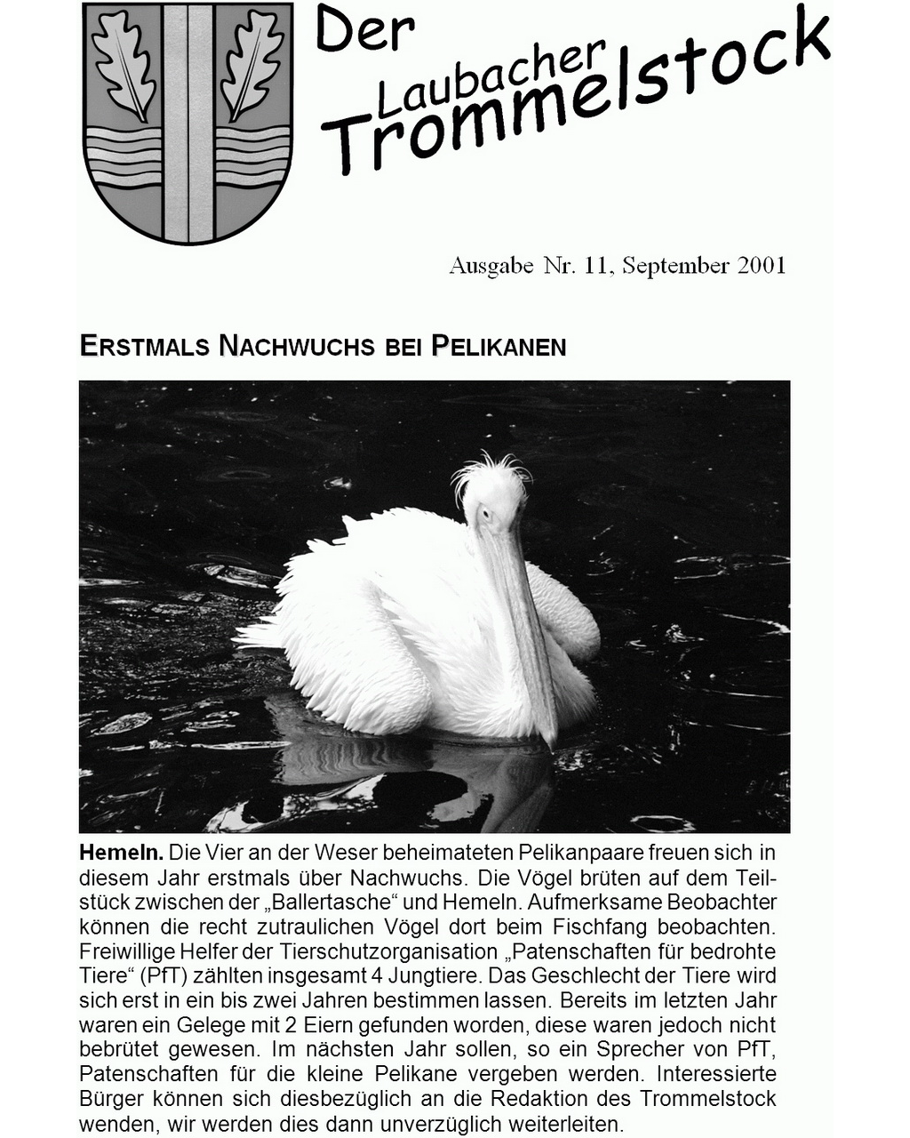 Laubacher-Trommelstock-Titelseite-011 Laubacher-Trommelstock-Titelseite-011