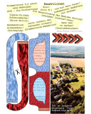 Laubacher-Trommelstock-Titelseite-050b